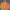 Ellesse Sportswear Skater Track Jacket Pria Orange