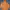 Ellesse Sportswear Skater Track jacket Pria orange photo 2