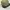 Vintage Caterpillar Hat Osfa Have Faded photo 4
