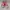 Converse CTAS low ox neon pink photo 2