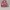 Converse CTAS low ox neon pink photo 1