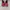 Converse CTAS low ox neon pink photo 3