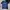 Kaos Zara man T-shirt Qoutes Size XL on tag photo 1