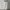 toyobo white dress photo 1