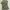 Y2k The Dazzle Turtle Neck Short Sleeve With Girl Graphic Po photo 7
