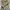 Y2k The Dazzle Turtle Neck Short Sleeve With Girl Graphic Po photo 2