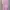 Dress Wanita Pink Ukuran S – Ada Pita Belakang | Masih Baru  photo 7