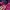 Ellesse Sportswear Puffer jacket Wanita pink photo 5