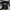 T-Shirt Dream Theater by HnM photo 1