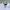 Polo Ralph Lauren Casual Casual shirt Pria white photo 2
