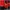 Head Sportswear Track jacket Pria black red photo 5