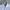 Thom Browne Casual Casual shirt Pria white photo 3