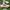 Adidas Ivy park supersleek 72  photo 1