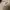 GU Chore Coat Heavy Canvas Jacket like Carhartt photo 5