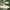 Reebok c85  photo 1