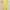 Dress kuning linen photo 1