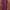 Dorothy perkins maroon dress photo 1