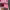 BARBIExPOPMART photo 2