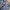 Mini Skirt Umpak Ribbon Navy Cute Coquette Cosplay Y2k