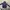 hodie carhartt raindefender dan spellout  photo 4