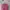 Colorbox Sweater Crop Pink Zipper Ring – Preloved | Kasual  photo 6