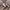GRAMICCI JORTS PANTS KHAKI photo 4