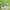 Asics gel kahana 8  photo 1
