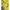 Jaket Parka Multi Pocket Westwood Two Tone Color photo 3