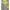 Jaket Parka Multi Pocket Westwood Two Tone Color