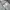 Vintage Denim jacket Pria white black photo 5