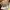 Michael Kors Casual Shoulder bag Wanita tan photo 6
