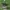 Clarks wallabe green leather  photo 1