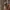 Gaun Lingerie Sexy Model Babydoll (Tanpa CD) Dengan Tali Spa photo 2