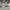 Melissa Minimalist Casual Sneakers Wanita white photo 3