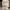 Melissa Minimalist Casual Sneakers Wanita white photo 8