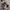 Set Lingerie Sexy Cosplay Costume Pelayan Celemek Lolita Ho photo 1
