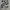 Unknown Loose Camouflage Cargopants like BDU photo 5