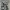 Unknown Loose Camouflage Cargopants like BDU photo 4