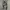 Unknown Loose Camouflage Cargopants like BDU photo 2