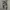Unknown Loose Camouflage Cargopants Like BDU