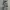 Unknown Loose Camouflage Cargopants like BDU photo 1