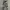 Unknown Loose Camouflage Cargopants Like BDU
