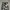 Unknown Loose Camouflage Cargopants like BDU photo 3