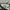 Unknown Loose Camouflage Cargopants like BDU photo 6