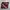 Dr martens 101 red cherry 6 hole photo 5