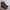 Dr Martens 101 Red Cherry 6 Hole