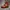 Dr Martens 1460 PASCAL RED (BIG SIZE 11UK/46) photo 1