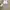 Oneset premium  photo 1