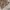 Yuki Torii Streetwear Lolita Blouse Wanita multicolor photo 4