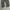 Binnary Baggy Balloon Parachute Pants photo 5